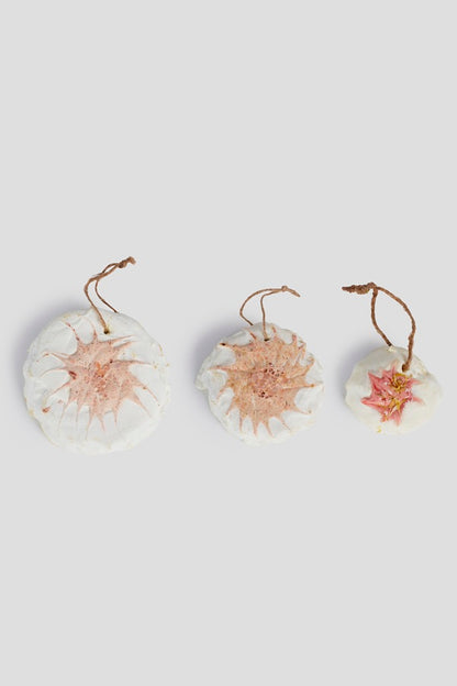 Himalayan Salt Loofah Loop